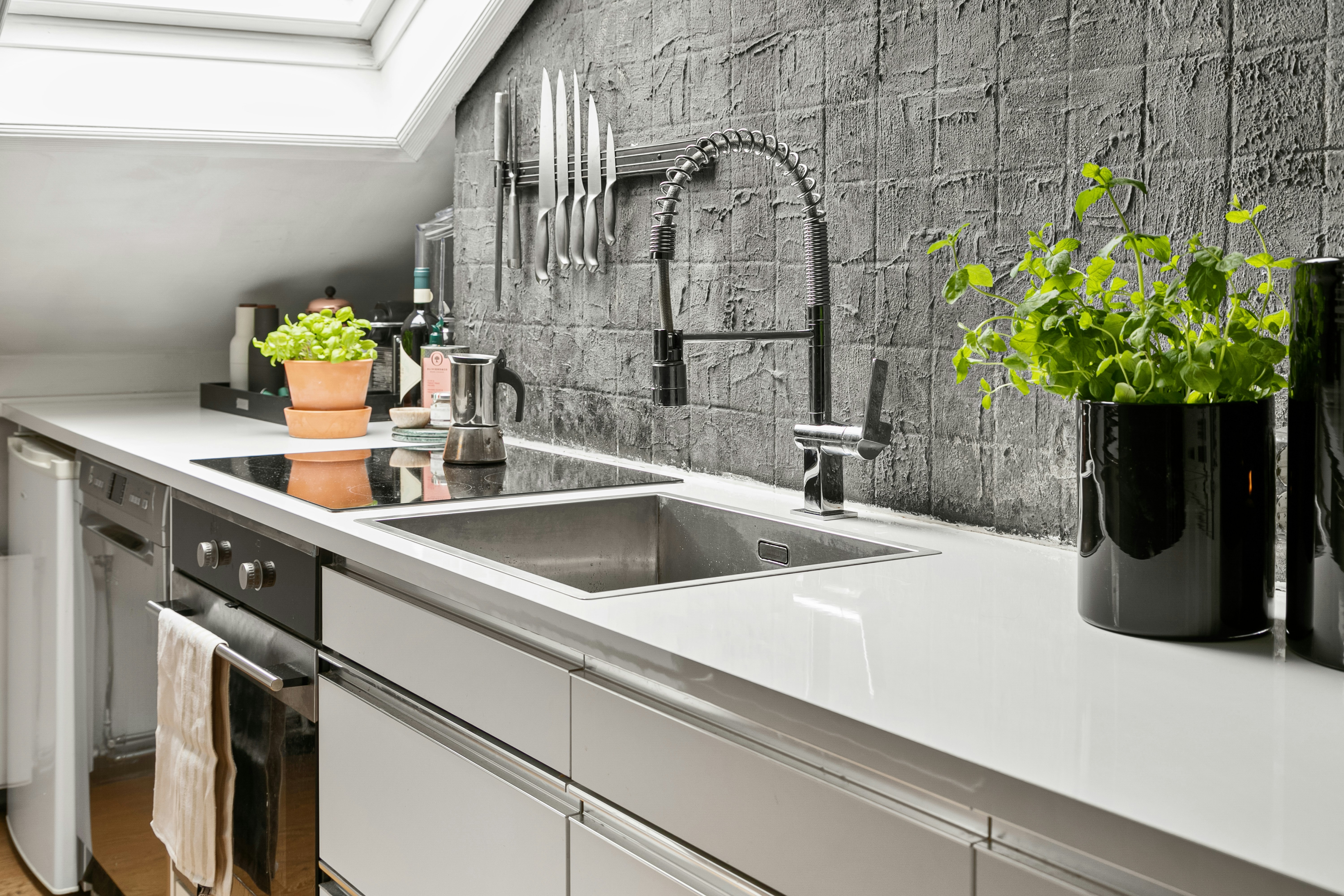 Clean modern kitchen with shiny surfaces