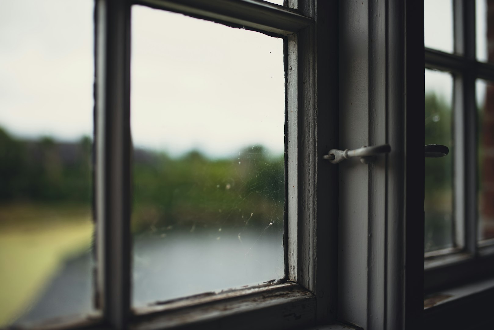 Windows and Fixtures Cleaning
